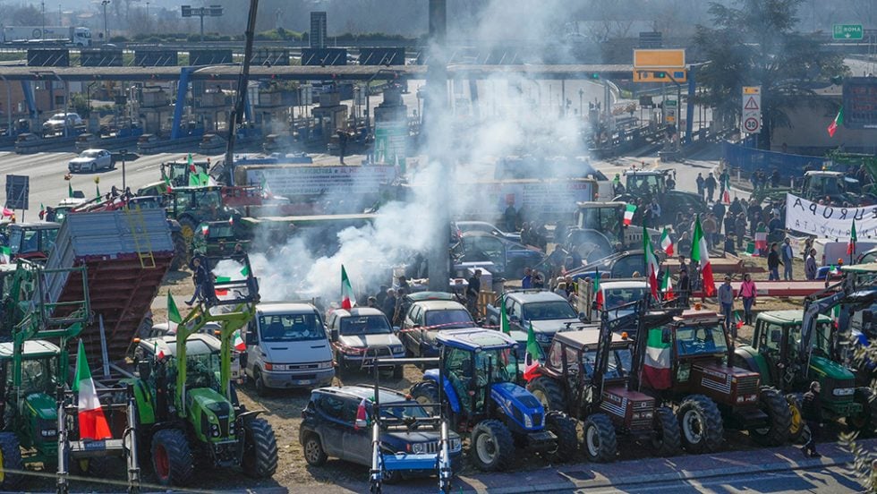 agrotes italia